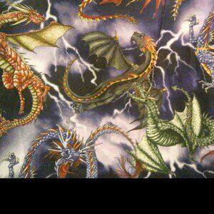 Multicolor Dragon Handmade Apron-Unique!